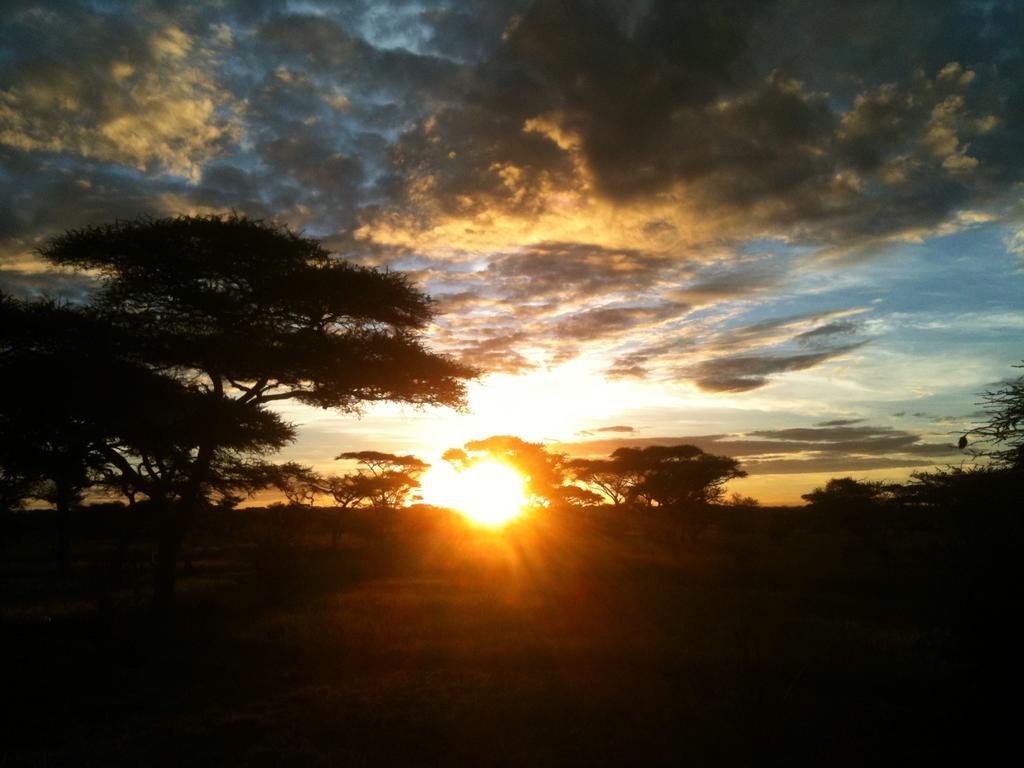 Mapito Tented Camp Serengeti-Savanne Exterior foto